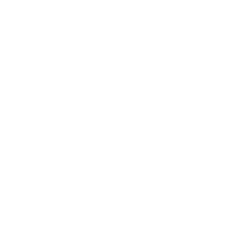 Scout Troop 169